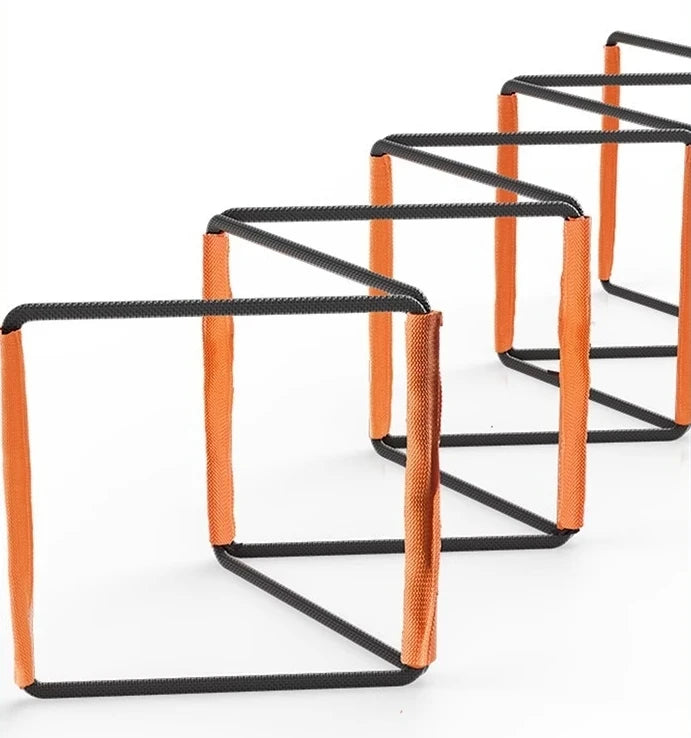 Multifunctional Agility Ladder